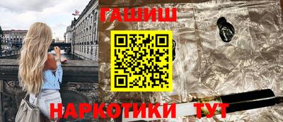 сатива Гай